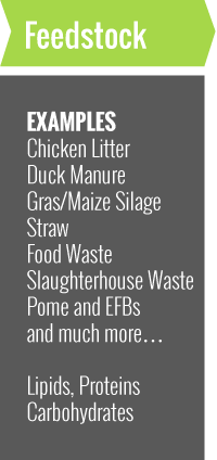 Feedstock hydrolysis